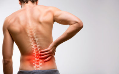 ¿Qué formación tiene el médico sobre dolor de espalda?